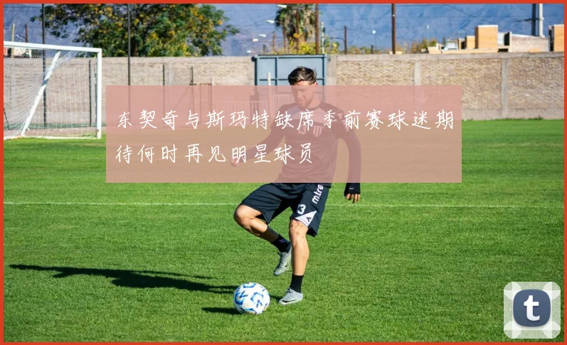 东契奇与斯玛特缺席季前赛球迷期待何时再见明星球员