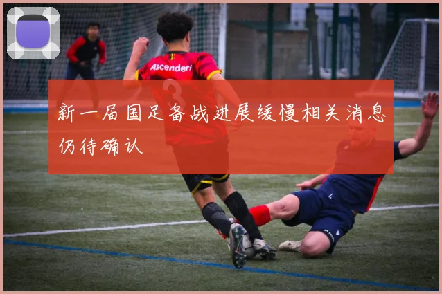 新一届国足备战进展缓慢相关消息仍待确认