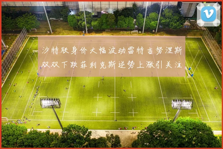 沙特联身价大幅波动雷特吉努涅斯双双下跌菲利克斯逆势上涨引关注