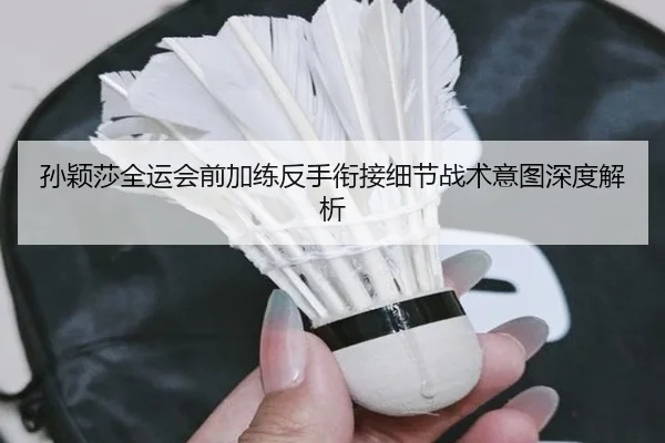 孙颖莎全运会前加练反手衔接细节战术意图深度解析